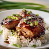Saucy, grilled chicken piled on fluffy rice.